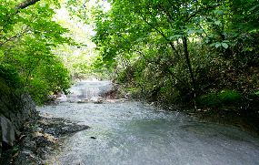 Oyunuma Brook